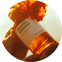 Flacon de parfum Hibiscus Mahajad de la marque Maison Crivelli