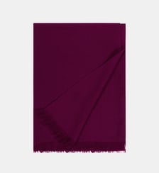 Etole en voile Bompard