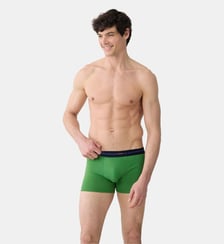Boxer en coton Le Slip Francais