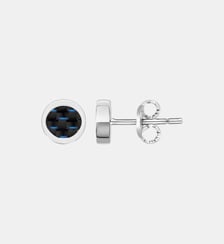 Boucles d'oreilles Séverin en Acier 316L Phebus