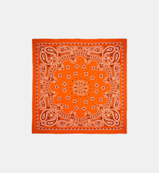 Grand foulard à motifs PAISLEY Wild