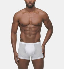 Boxer En Mesh Ron Dorff