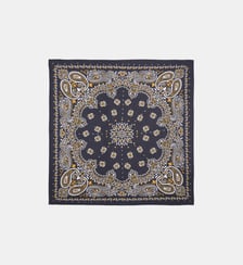 Petit foulard à motifs PAISLEY Wild