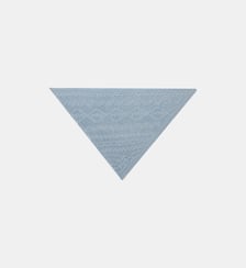 Triangle Sacha Bompard