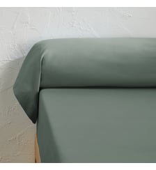 Taie de traversin unie percale coton bio Scenario La Redoute Interieurs
