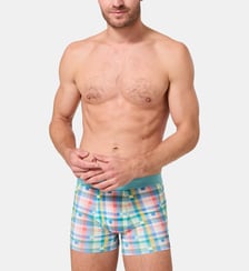 Boxer - Mosaïque Arthur