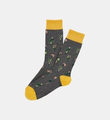 Chaussettes en coton - Perroquet Gris Arthur