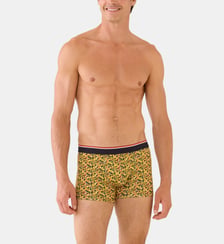 Boxer en coton Le Slip Francais