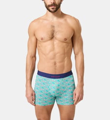 Boxer - Transat Arthur