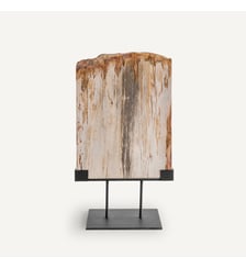 Décoration en bois pétrifié sur socle AM.PM