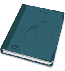 Tablette lumineuse Kidywolf