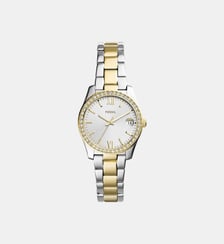 Montre Scarlette Argenté ES4319 Fossil