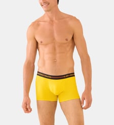Boxer en coton Le Slip Francais