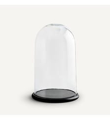 Globe en verre, Éliorée AM.PM