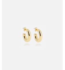 Boucles d'oreilles Subtile  en Acier doré Zag Bijoux