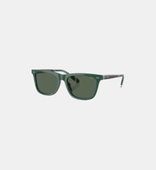 Lunettes de soleil Carré PH4205U Polo Ralph Lauren