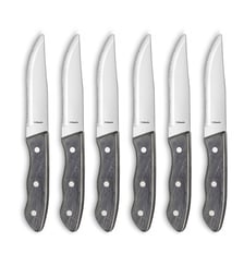 Set 6 couteaux steak Amefa