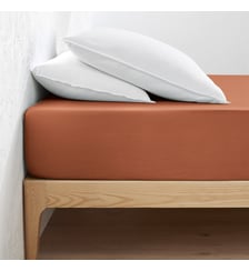 Drap housse jersey coton, bonnet 30cm La Redoute Interieurs