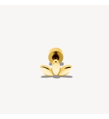 Piercing Muse Nebuleuse Bijoux