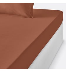 Drap housse enfant en percale de coton, 80 fils La Redoute Interieurs
