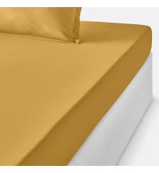 Drap housse enfant en percale de coton, 80 fils La Redoute Interieurs