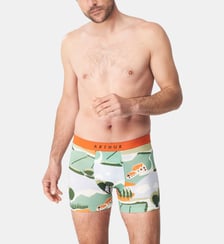 Boxer - Campagne Arthur
