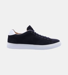 Sneaker sphinx - cuir velours Bowen