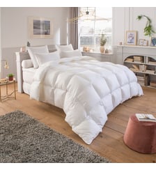 Couette Annapurna 70% Duvet - TEMPEREE Drouault