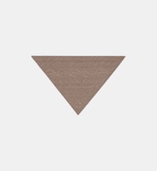 Triangle Sacha Bompard
