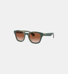 Lunettes de soleil Pantos AR8207 Giorgio Armani