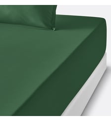 Drap housse enfant en percale de coton, 80 fils La Redoute Interieurs