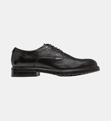 Derbies Whale Kost Paris