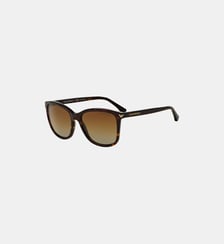 Lunettes de soleil polarisées EA4060 Emporio Armani