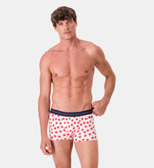 Boxer en coton Le Slip Francais