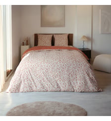 Pack Housse de couette + Taie(s) d'oreiller Coton Morphée Dodo