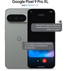 Smartphone Pixel 9 Pro XL Vert Sauge 128Go Google