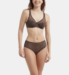 Culotte Golden Zebra Generous Limited Edition Dim