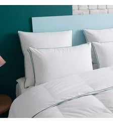 Oreiller MEDIUM 50% duvet - Coton Bio - Alfred Wake Me Green
