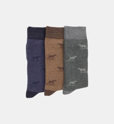 Lot de 3 paires de chaussettes en coton Dogs-A-Plenty Rodd & Gunn