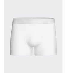 Boxer en coton Impetus