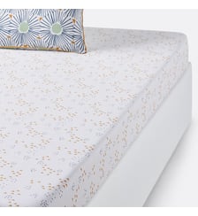 Drap housse en pur coton La Redoute Interieurs
