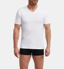 Lot de 2 t-shirts homme thermorégulateur coton col V Sport Dim