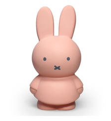 Tirelire - Miffy - Vert Atelier Pierre