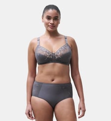 Culotte taille haute finition broderie Chantelle