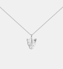 Collier Panthère en Acier 316L Phebus