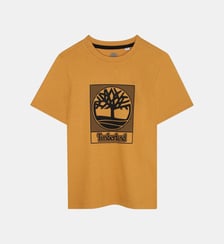 T-shirts à manches courtes Timberland