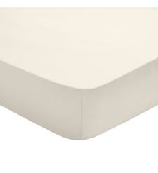 Drap Housse Studio Coton Dodo