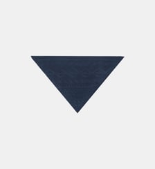 Triangle Sacha Bompard