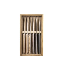 Coffret 6 Couteaux à Steak - Mirage Les Essences Degrenne