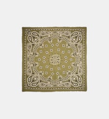 Grand foulard à motifs PAISLEY Wild